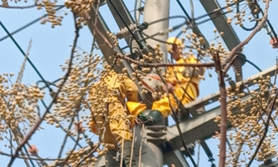 10KV華廣，華高雙回帶電拆火
